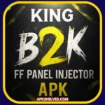 KING B2K FF INJECTOR PANEL APK (1)